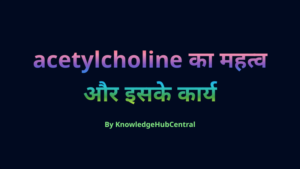 acetylcholine क्या है